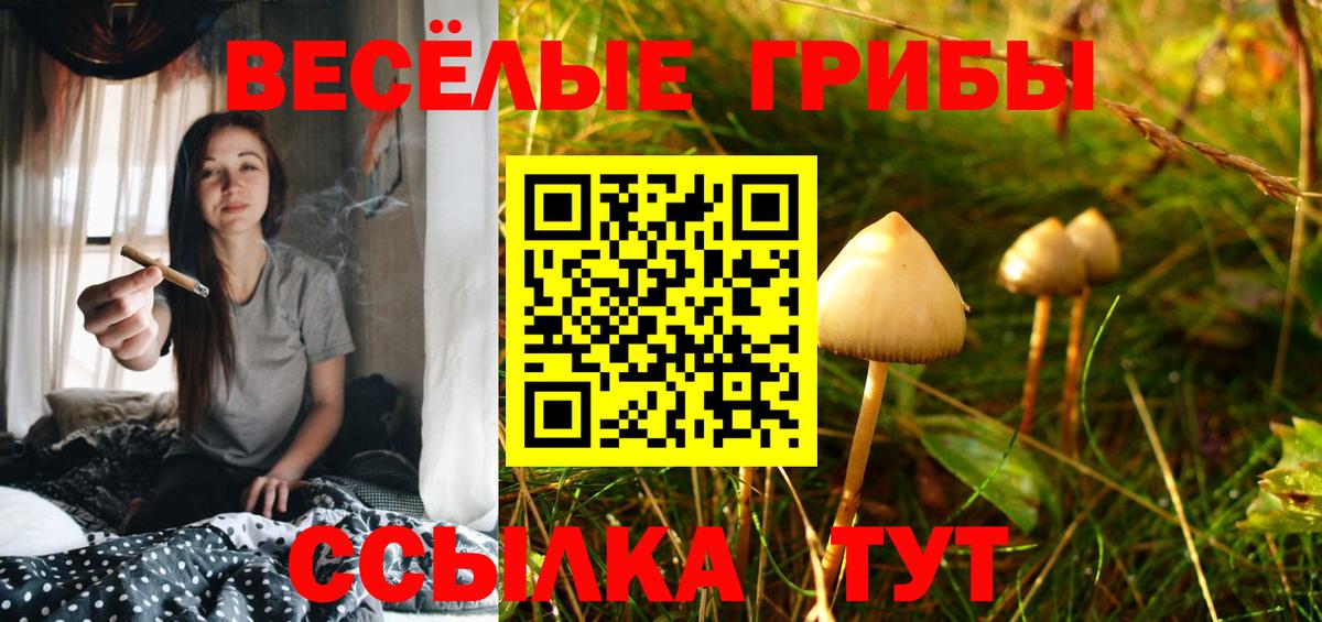 Псилоцибиновые грибы прущие грибы Саяногорск